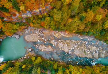 aerial bird's-eye view of colorful forest, blue river and rocks. Drone shot. natural autumn landscape