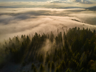 Fog spreads over the mountains at dawn. The sun rises on the horizon. Carpathians in the morning. Aerial drone view.