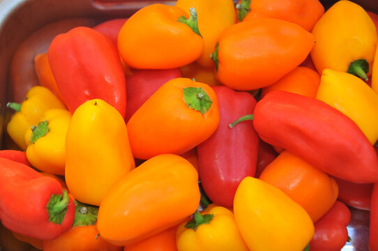 Mini poivrons color&eacute;s