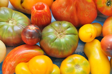 Tomates anciennes