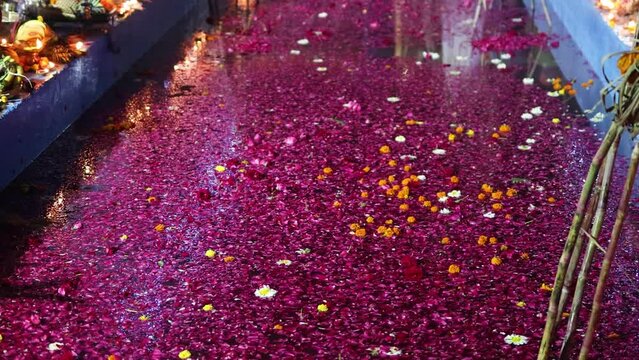 holy pond covered with rose petals for celebrating chhath festival at morning