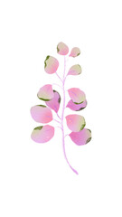 trendy botanical blush eucalyptus leaf - greenery tropical leaves - foliage green pink leaves - urban jungle - floral wedding invitation - houseplant illustrations with isolated background