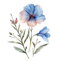 Vintage watercolor blue flower and wildflowers isolated on white background, old botanical illustration