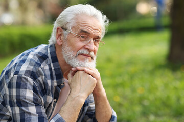 Portrait of happy grandpa with glasses in park, space for text