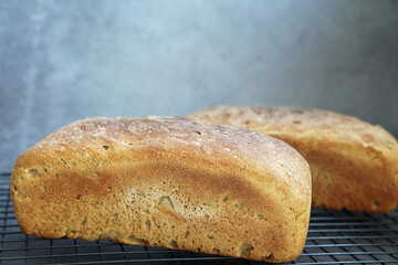 sourdough rye bread rectangular brick shape on a black background.