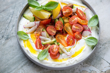 Greek feta dip topped with fresh tomatoes, cucumber, radish and green basil, horizontal shot on a grey granite background