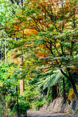 autumn in the park, Alfred Nicholas Memorial Garden