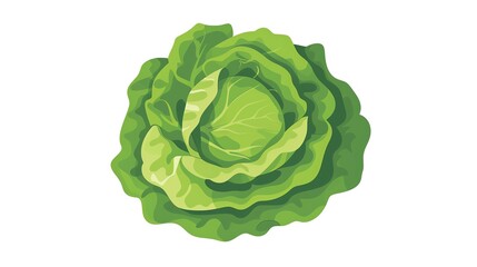 Obraz premium A green lettuce head, simple and flat, on white plain background