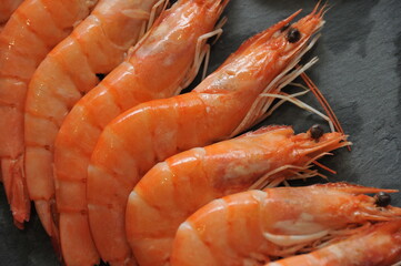 Plateau de fruits de mer