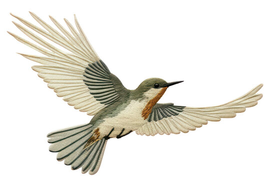 recommend clip art: PNG Flying bird animal hummingbird. 