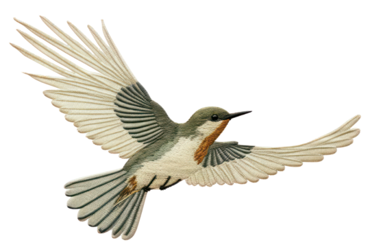 PNG Flying bird animal hummingbird. 