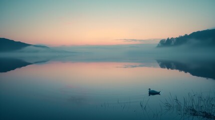Fototapeta premium Misty Forest Morning. A mysterious misty forest in the early morning, light beams filtering through dense trees creating beautiful shadows and highlights