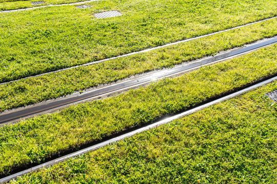Railway lines with green grass after rain, slippery tram tracks, metal rails