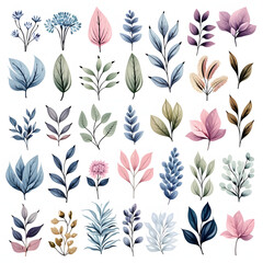 set of Variegated foliage leaves, plants, leaves and branches. illustrations of beautiful realistic flowers for background, pattern or wedding invitations