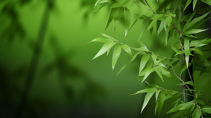 A green leafy tree with a green background