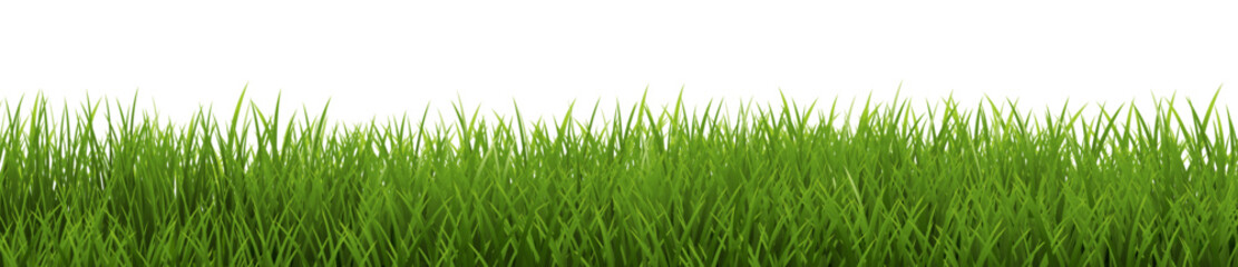 Green Grass Frame Isolated White Background