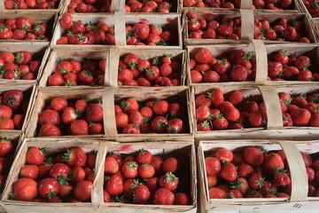 Fresh delicious strawberries in a basket