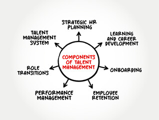 Components of Talent Management - anticipation of required human capital for an organization and the planning to meet those needs, mind map concept background
