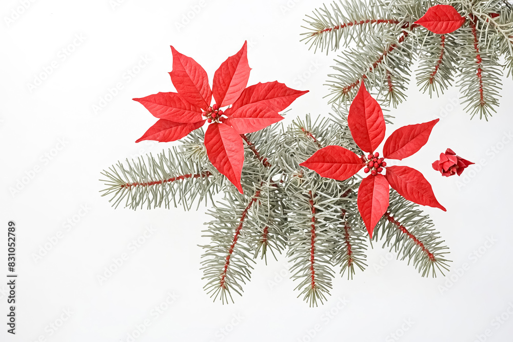 Poster Red Poinsettia with Green Pine Branch