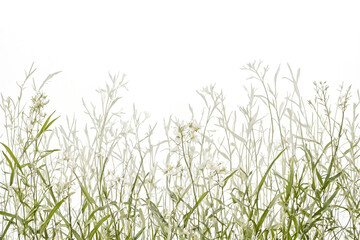 Abstract Floral Background with White Flowers and Green Leaves