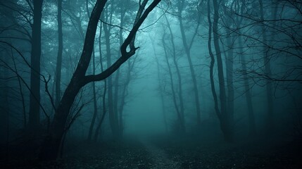 Mystical Foggy Forest Path Surrounded By Dark Trees, Eerie Autumn Scene, Spooky Halloween Landscape, Enigmatic Woodland Atmosphere, Dark Natural Environment, Moody Nature Photography