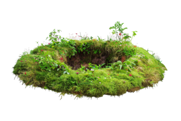 Enchanted Fairy Ring Land Isolated on Transparent Background