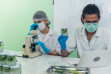 Biochemistry Scientist asian men caucasian women diversity team biology science medical lab working...