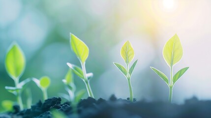 Fototapeta premium Growing sustainability and success concept Business common goals and strategies Sales growth performance new action plan goals success Business improvement resolution adaptation and re : Generative AI