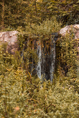 autumn landscape with a small waterfall of a stream surrounded by plants and rocks in nature
