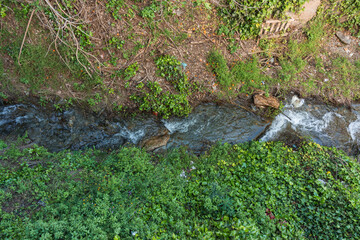 horizontal image of a stream separating an area with a lot of vegetation and an area with less foliage