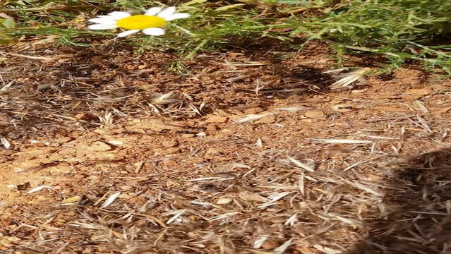 Quand on voit la nature si belle on se demande pourquoi l'Homme est si con !: