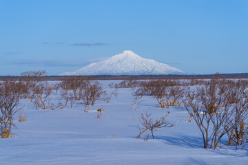 サロベツ原野 雪原のパンケ沼からの利尻富士　冬の北海道の絶景