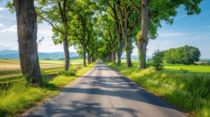 Obraz premium A long, winding country road lined with tall trees and green fields, inviting a leisurely drive through the picturesque countryside. 