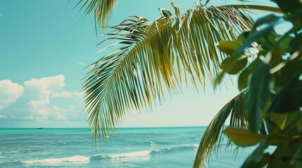Naklejka premium palm tree leaves swaying in the breeze on a tropical beach relaxing vacation background
