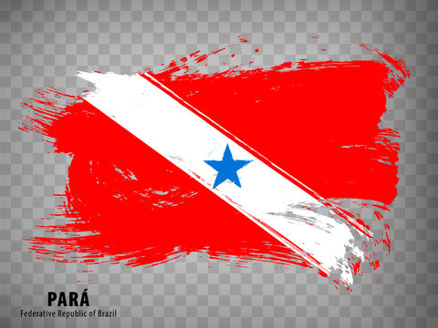 Flag of Para from brush strokes. Federal Republic of Brazil. Waving Flag Para of Brazil on transparent background for your web site design, app, UI. Brazil. EPS10.