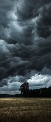 dark storm clouds covering the sky over a meadow 