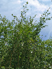 These evocative photos showcase the simple joys and moments that make up our daily lives. From serene nature scenes , these photos are sure to evoke emotions and bring back cherished memories.