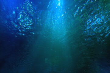 A shot taken from beneath the surface of the sea looking up at the sky The light patch is the sun...