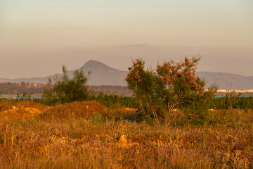 Paysage au coucher du soleil