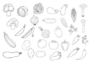 Vegetables doodle drawing collection. Hand-drawn vector illustrations of doodles in black isolated on a white background. Carrots, corn, cucumbers, cabbage, potatoes and other vegetables. 