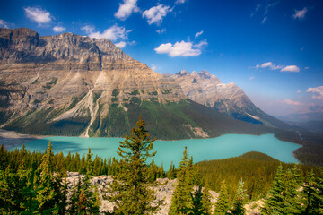 Peyto Lake