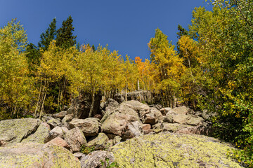 Fototapeta premium Bear Lake in Rocky Mountain National Park near Estes Park, Colorado on a sunny fall day. The yellow aspens color the mountainside.