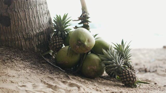 footage of coconut water seller in seaside Uses of Coconut Health Fruit for Health collection of fresh green coconuts