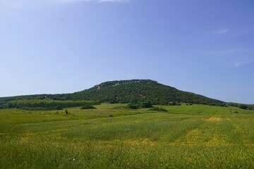 Fototapeta premium The hill where the ancient capital of the kingdom of Achilles is likely to be, in Central, Greece