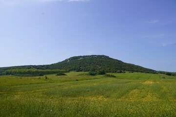 The hill where the ancient capital of the kingdom of Achilles is likely to be, in Central, Greece