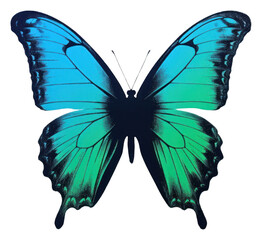 Fototapeta premium PNG Butterfly invertebrate arachnid animal