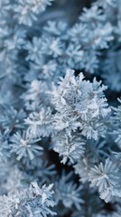 Macro Close-up of Beautiful Hoar Frost Crystals on Natural Scenic Landscape - Stunning Winter Wonderland Background，Beautiful background image of frost in nature close-up, natural beauty, 4k HD wallpa