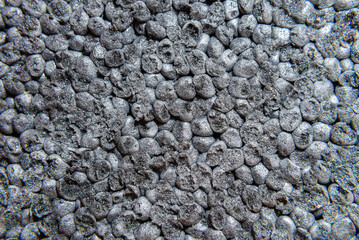 expanded polystyrene board eps with graphite macro shot, background.