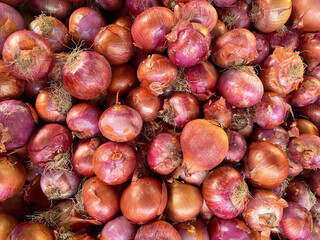 Pile of Unpeeled Red Onions.Lots of raw onions stacked on top of each other. View from above.Organic and fresh onions are just harvested and ready for sale. Healthy eating.Images of vegetable products