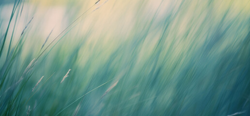 Wild grasses in a forest. Abstract nature background